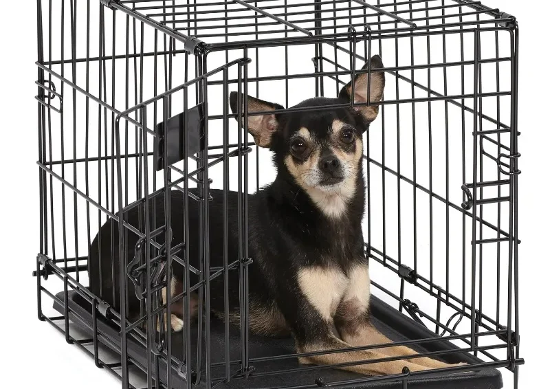 Double Door Metal Dog Crate, 18