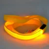 LED Light Up Dog Leash Luminous Rope 3