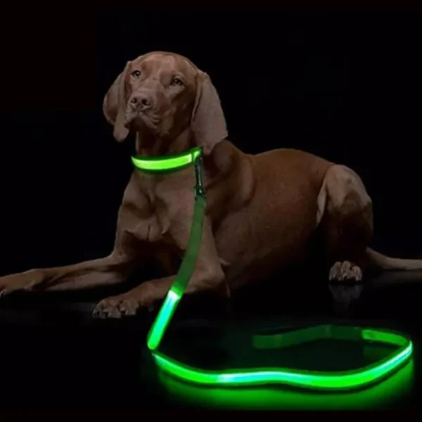 LED Light Up Dog Leash Luminous Rope 1