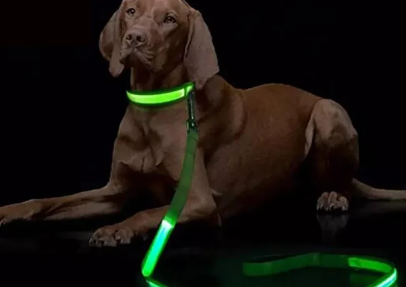 LED Light Up Dog Leash Luminous Rope 1