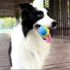 Dog Toy Durable Chew Ball 3