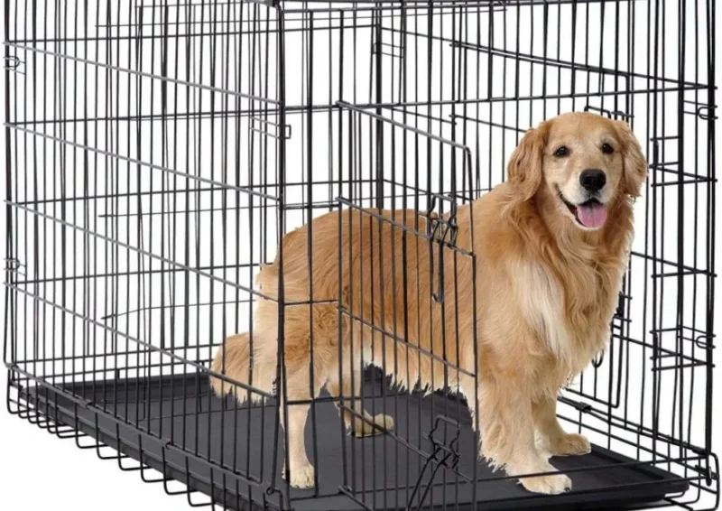 48 Inch Dog Crates for Large Dogs 1