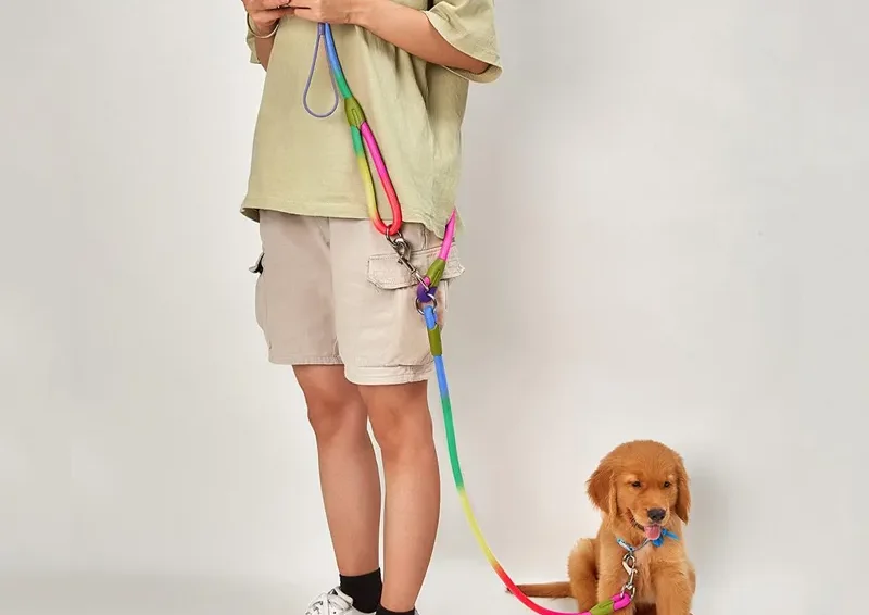 CAWAYI KENNEL Free Hands Reflective Nylon Dog Leashes 2