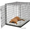 Dog Kennel for Indoor Dogs SL54DD 'Ginormus' Single Door Dog Crate for XXL for the Largest Dogs Breeds Crates-f- Houses & Pens 3