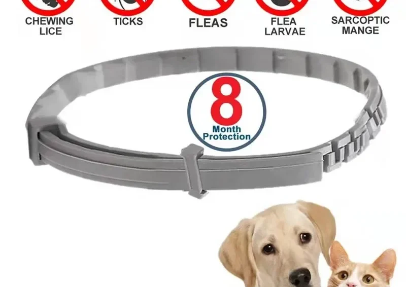 Dog Cat Anti Flea And Tick Collars,Pet 8 Month Protection 2