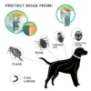 Dog Cat Anti Flea And Tick Collars,Pet 8 Month Protection 4