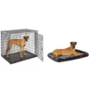 Dog Kennel for Indoor Dogs SL54DD 'Ginormus' Single Door Dog Crate for XXL for the Largest Dogs Breeds Crates-f- Houses & Pens 4