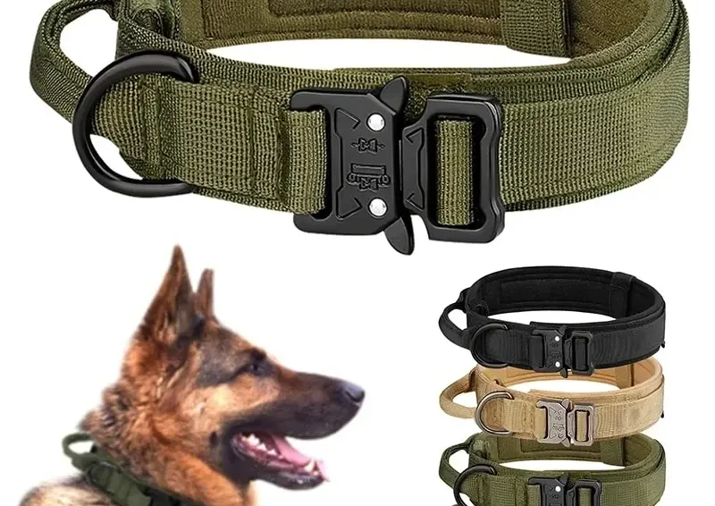 Outdoor Tactical Dog Collar Metal Buckle 1