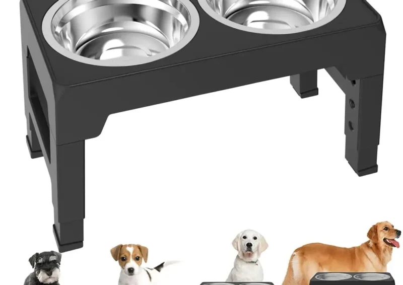 Elevated Dog Feeder Bowls Adjustable Raised Stand 1